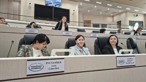 Таза шаар проектиси боюнча кесиптештер менен биргеликте ЖК