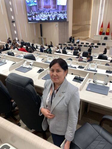 Таза шаар проектиси боюнча кесиптештер менен биргеликте ЖК